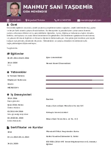 Gıda Mühendisi CV Örnekleri cv indir